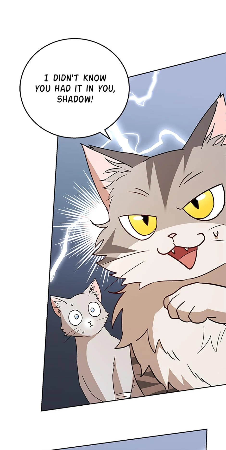 Read Hello, Mr. Veterinarian! chapter 81 image 72 on Lezhin
