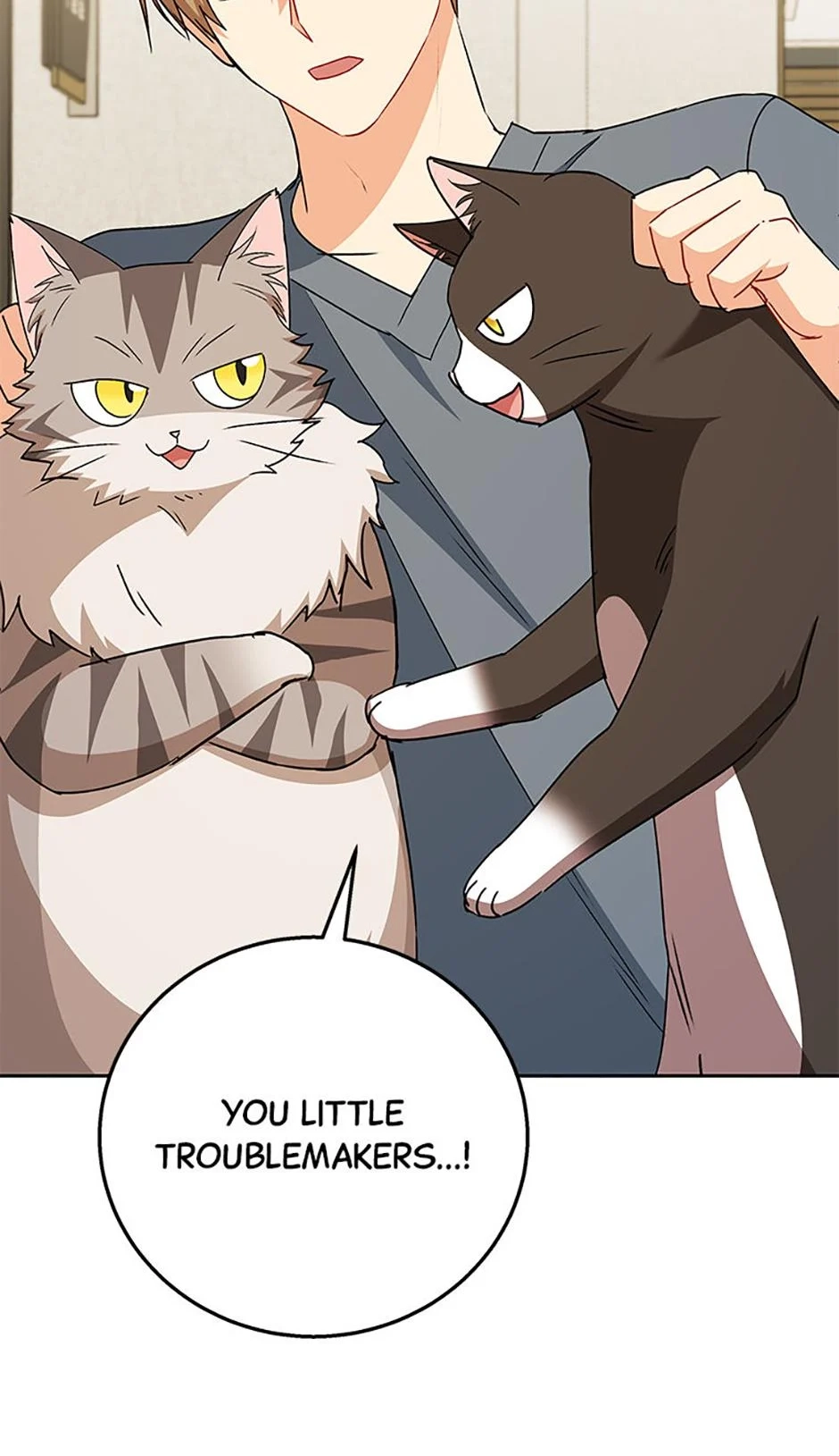 Read Hello, Mr. Veterinarian! chapter 81 image 83 on Lezhin