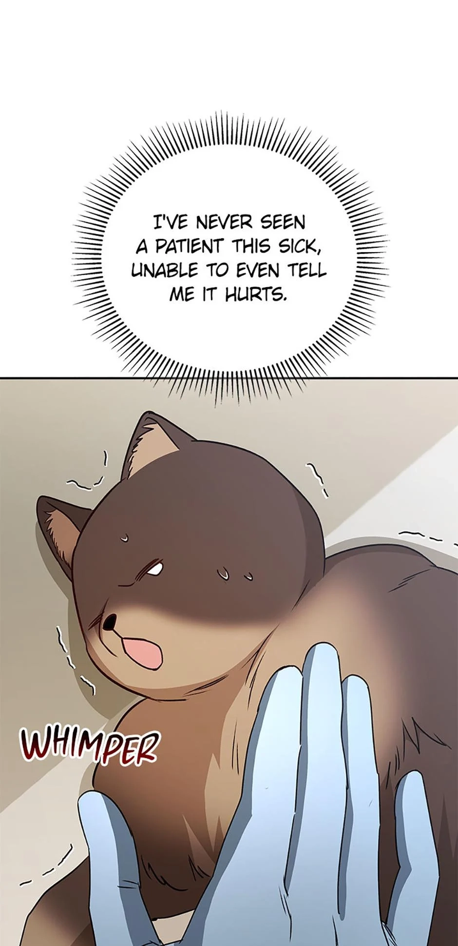 Read Hello, Mr. Veterinarian! chapter 89 image 11 on Lezhin