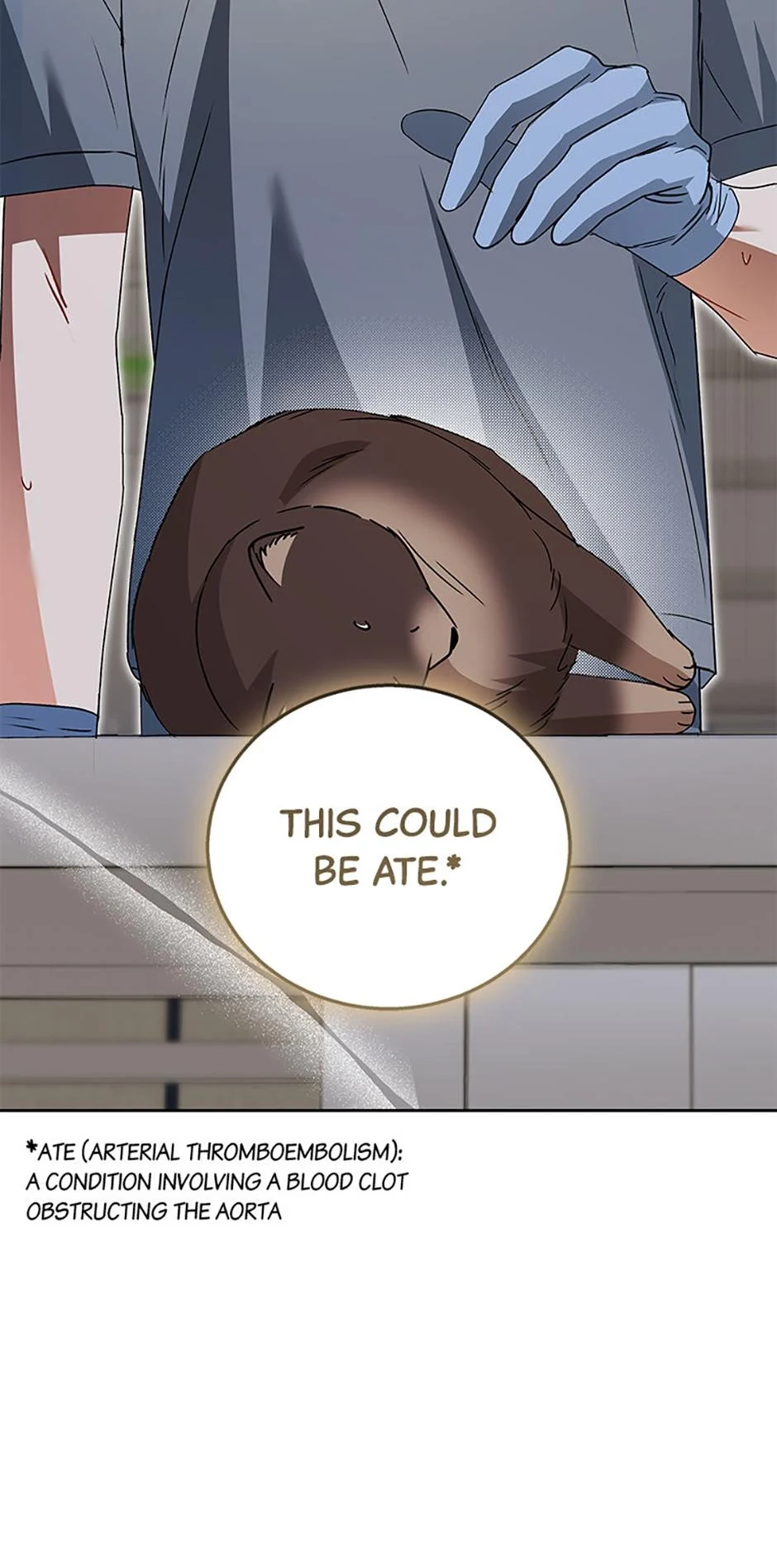 Read Hello, Mr. Veterinarian! chapter 89 image 17 on Lezhin