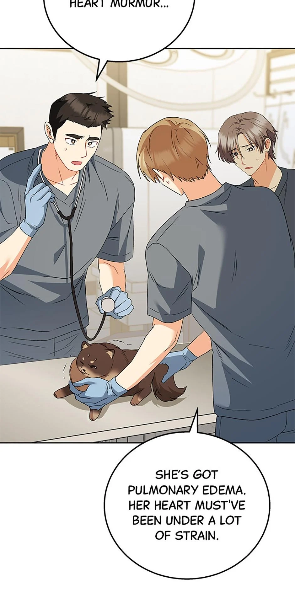 Read Hello, Mr. Veterinarian! chapter 89 image 9 on Lezhin