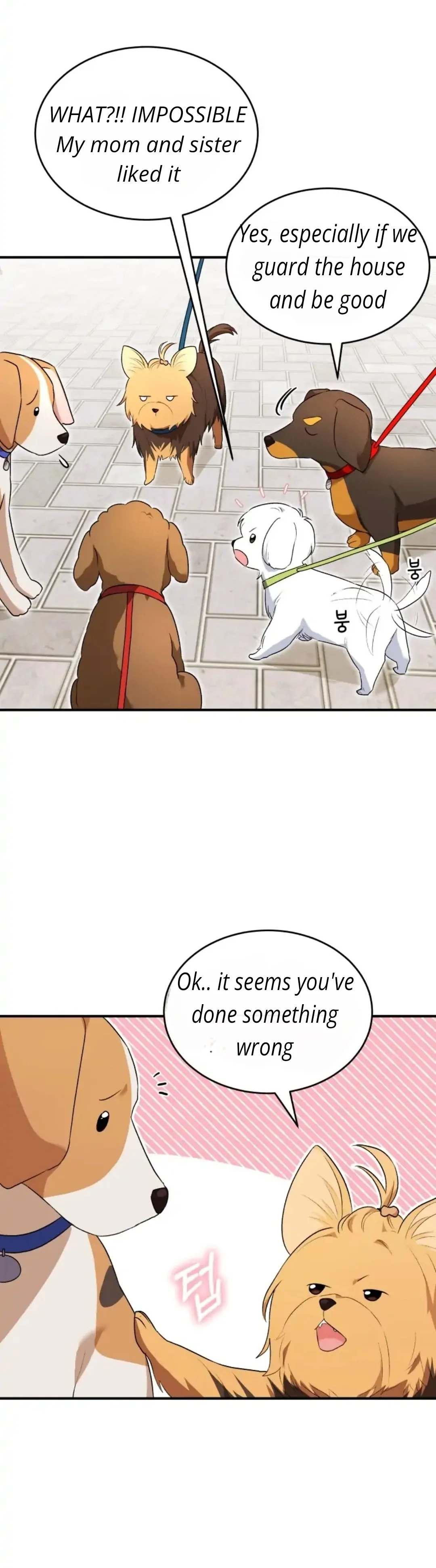 Hello, Mr. Veterinarian! Chapter 9 page 13 - 