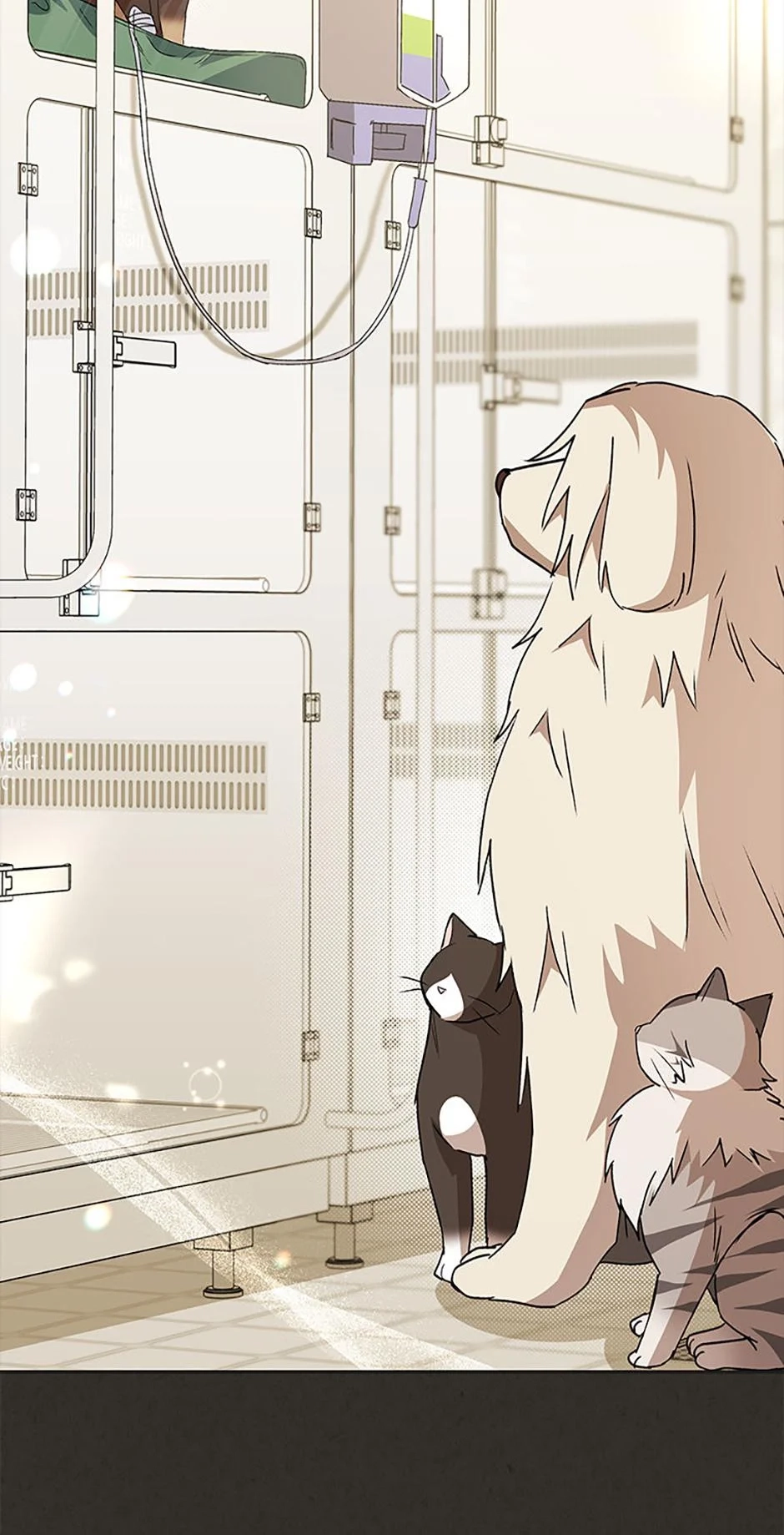 Read Hello, Mr. Veterinarian! chapter 91 image 11 on Lezhin