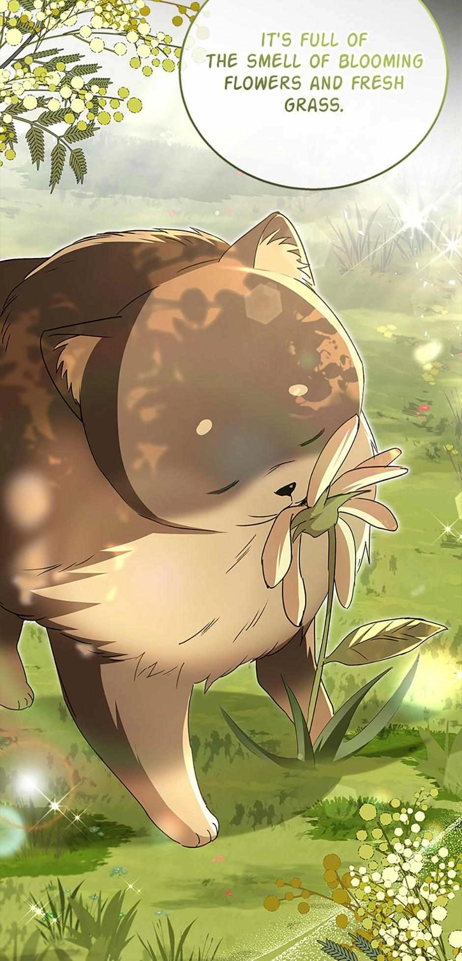 Read Hello, Mr. Veterinarian! chapter 91 image 13 on Lezhin