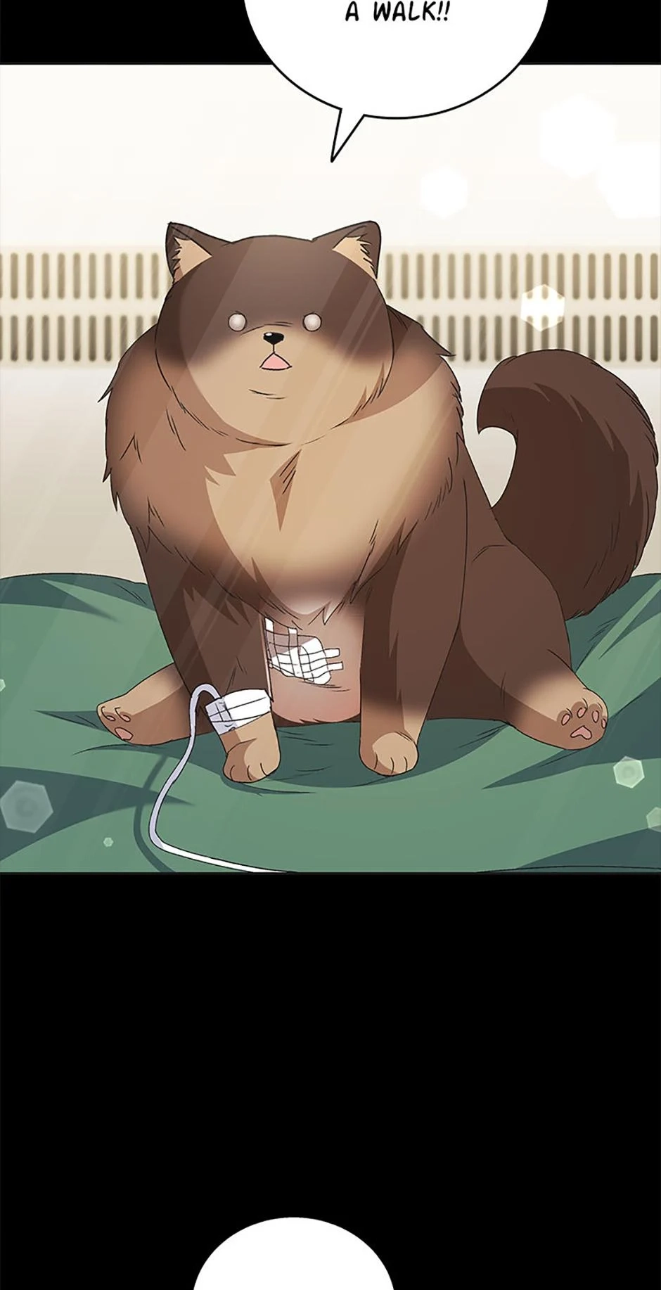 Read Hello, Mr. Veterinarian! chapter 91 image 2 on Lezhin
