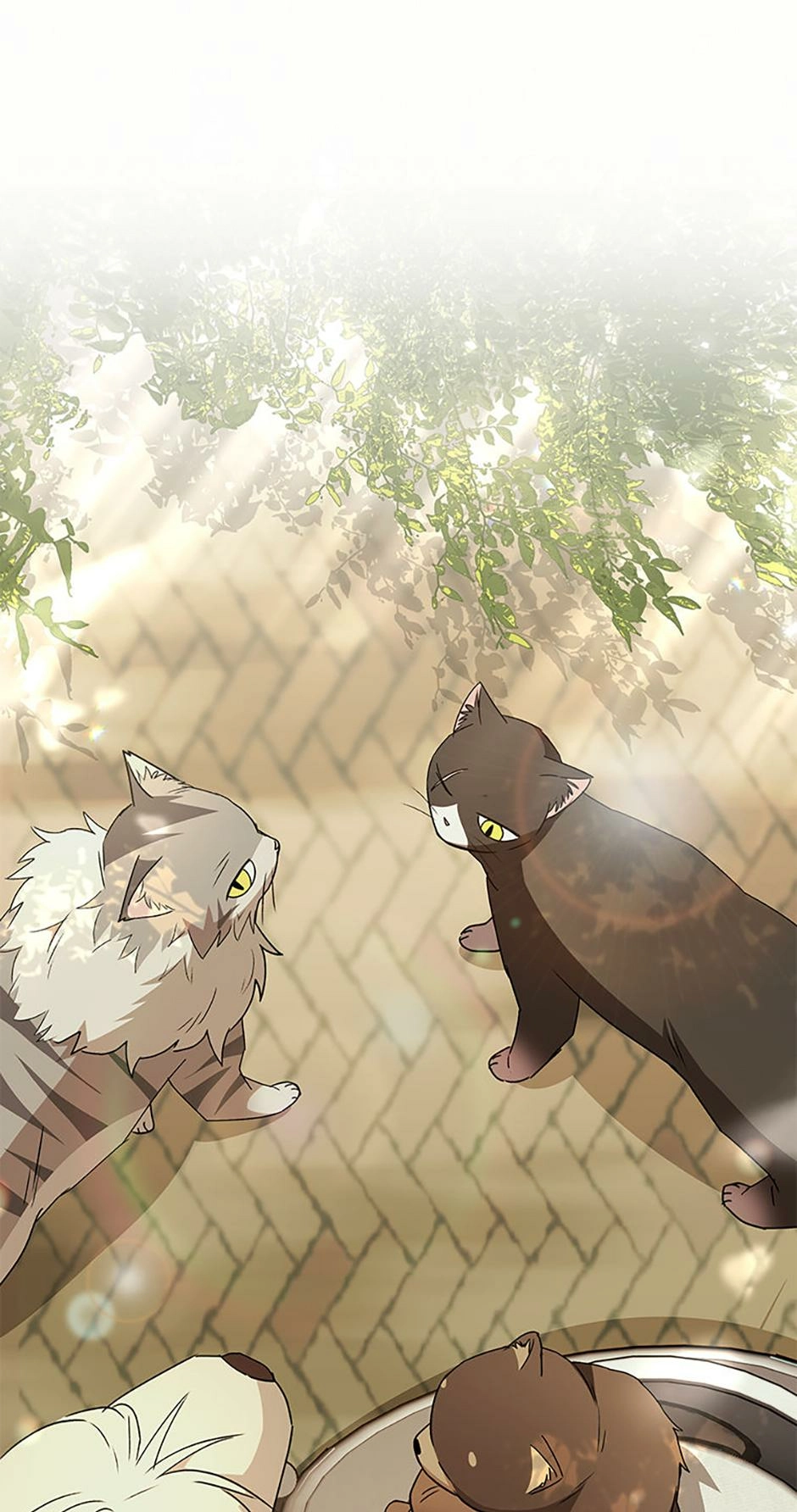 Read Hello, Mr. Veterinarian! chapter 91 image 25 on Lezhin