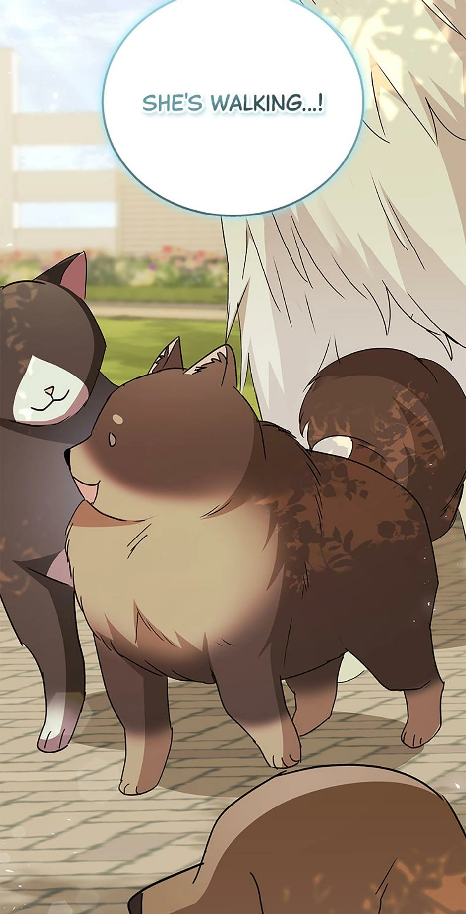 Read Hello, Mr. Veterinarian! chapter 91 image 41 on Lezhin