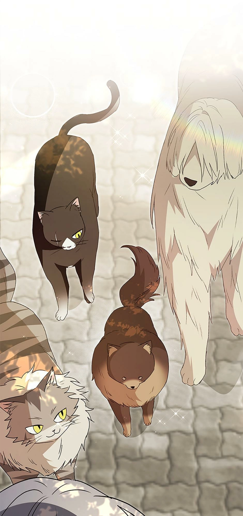 Read Hello, Mr. Veterinarian! chapter 91 image 56 on Lezhin