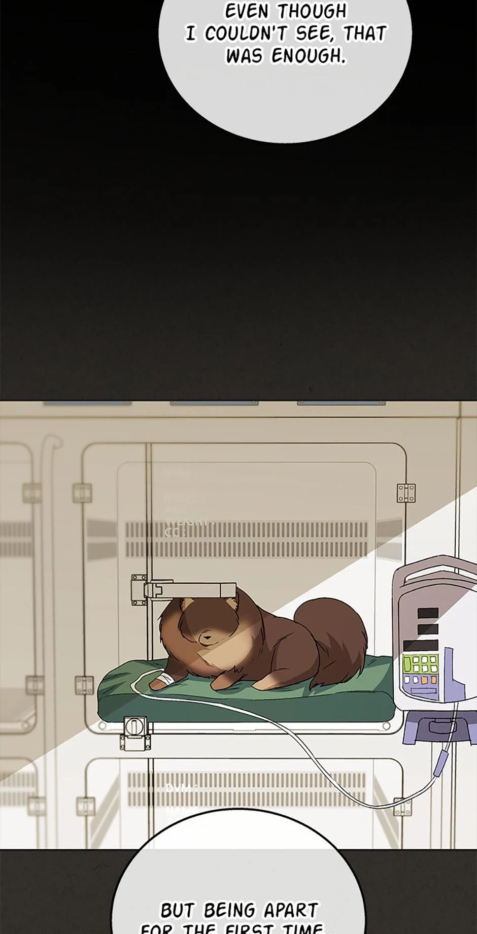 Read Hello, Mr. Veterinarian! chapter 91 image 6 on Lezhin