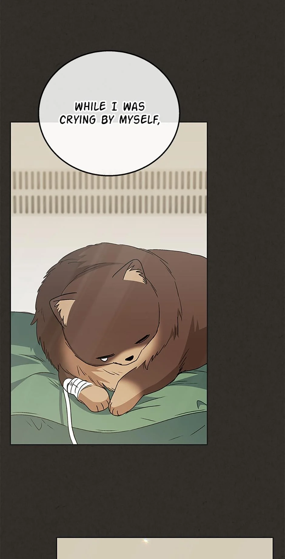 Read Hello, Mr. Veterinarian! chapter 91 image 8 on Lezhin