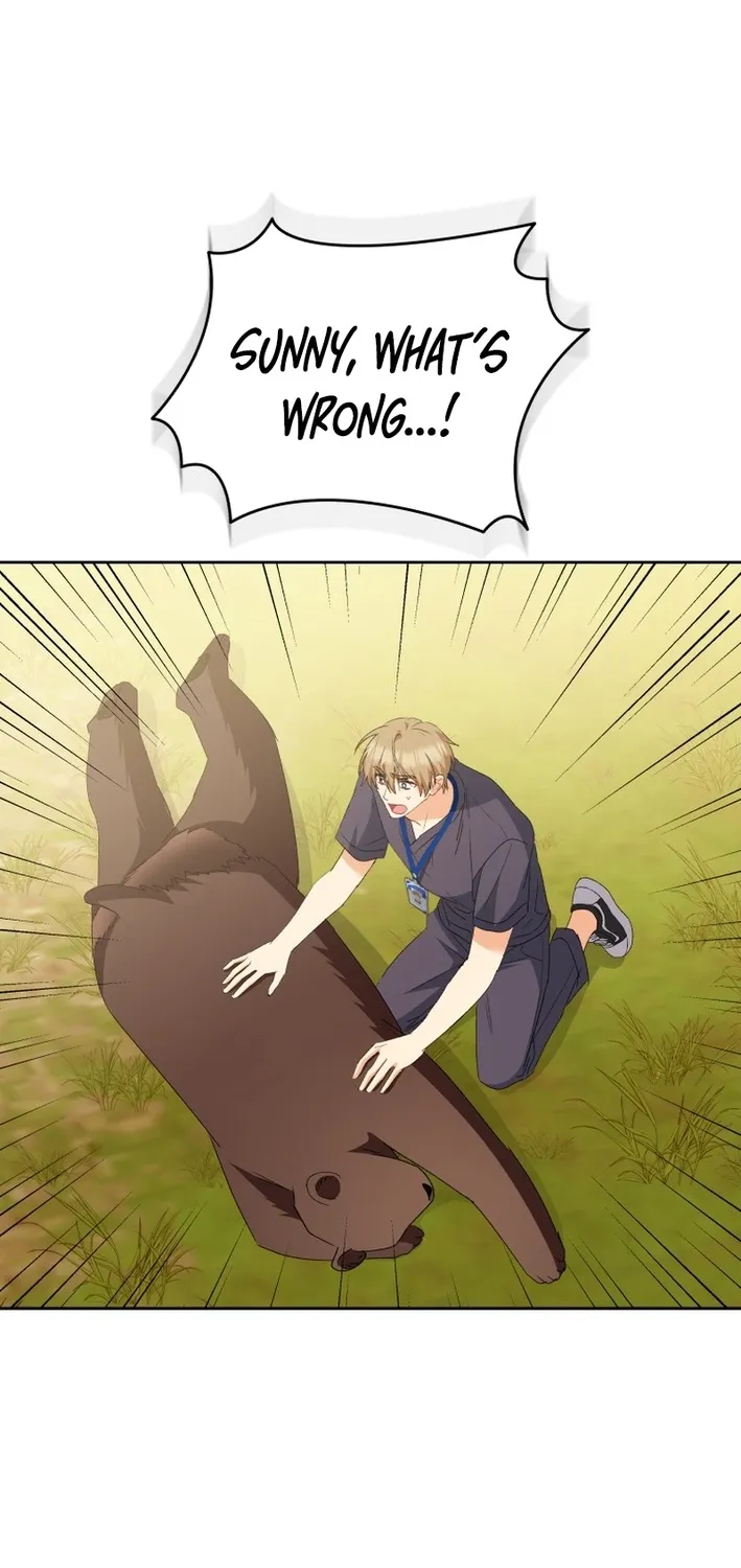 Read Hello, Mr. Veterinarian! chapter 98 image 70 on Lezhin