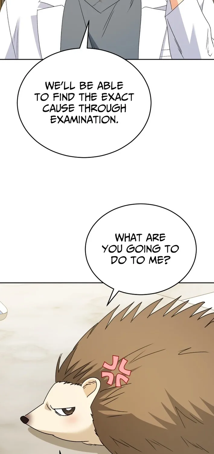 Read Hello, Mr. Veterinarian! chapter 99 image 66 on Lezhin