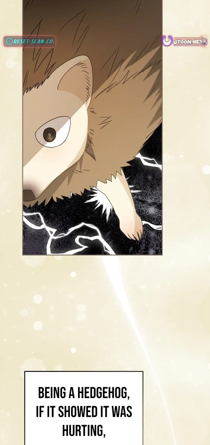 Read Hello, Mr. Veterinarian! chapter 99 image 72 on Lezhin