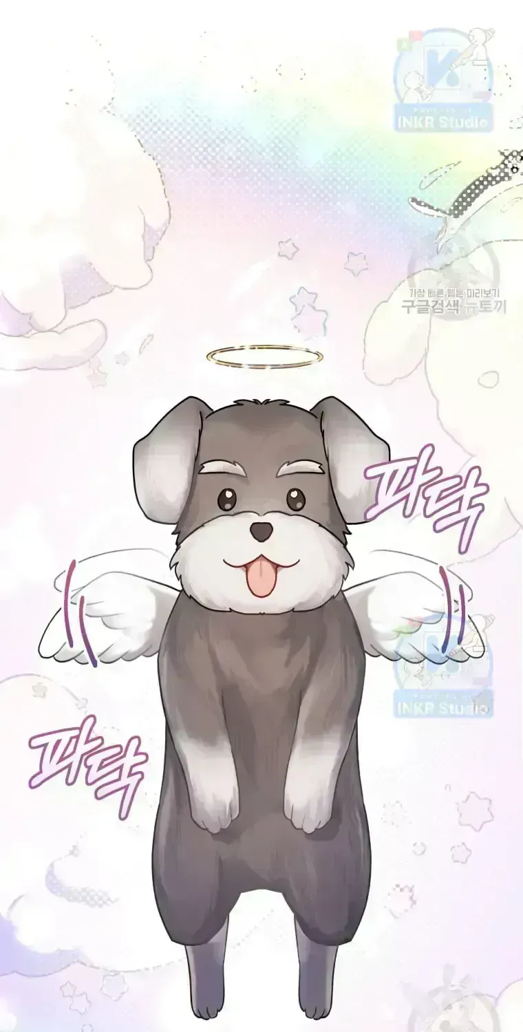 Read Hello! Veterinarian! chapter 1.8 image 18 on Lezhin