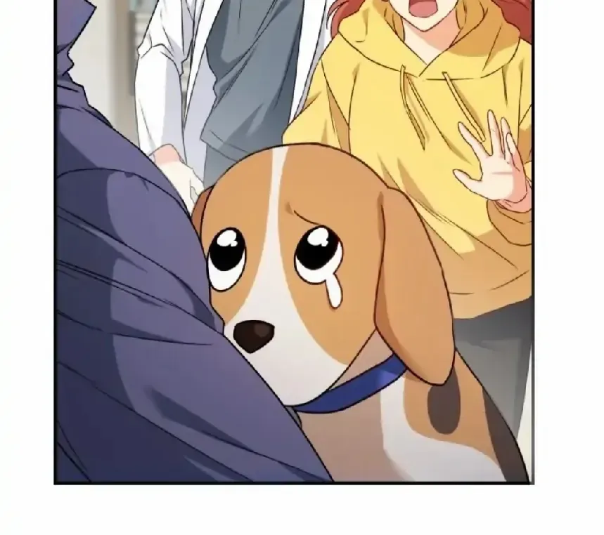 Read Hello! Veterinarian! chapter 10 image 71 on Lezhin