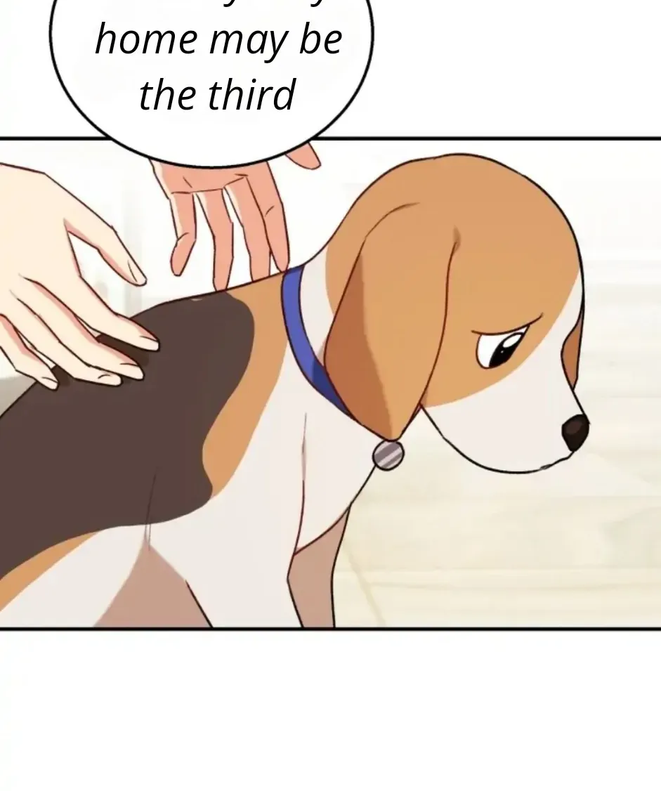 Read Hello! Veterinarian! chapter 10 image 79 on Lezhin