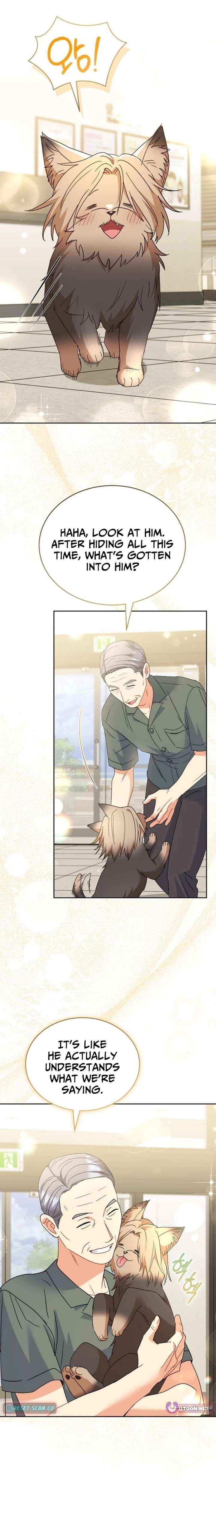 Read Hello! Veterinarian! chapter 104 image 17 on Lezhin
