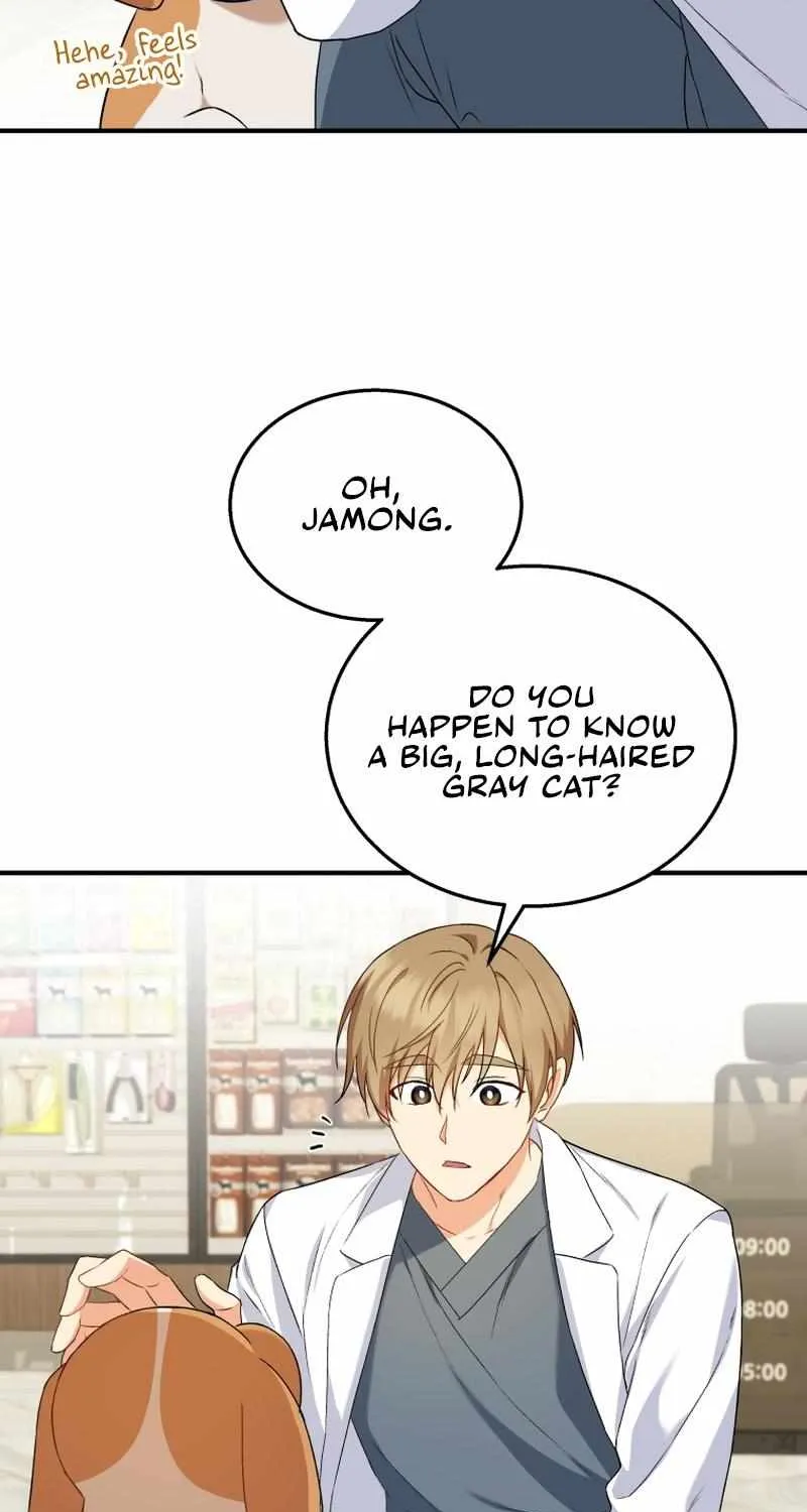 Read Hello! Veterinarian! chapter 12 image 19 on Lezhin