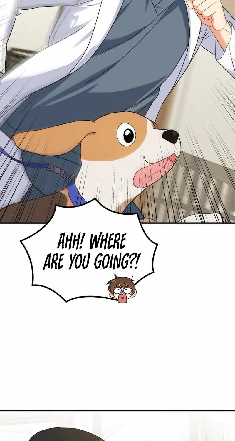 Read Hello! Veterinarian! chapter 12 image 44 on Lezhin