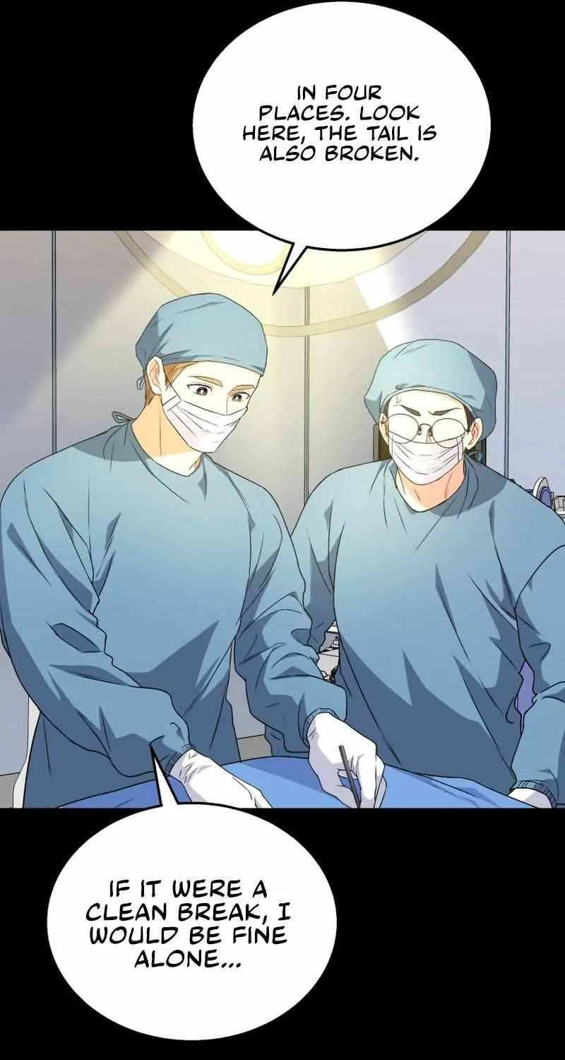 Read Hello! Veterinarian! chapter 14 image 28 on Lezhin