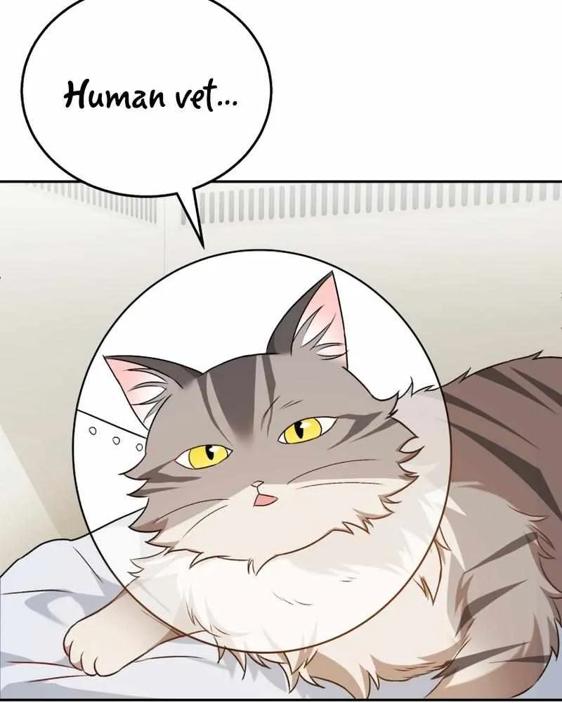 Read Hello! Veterinarian! chapter 14 image 75 on Lezhin
