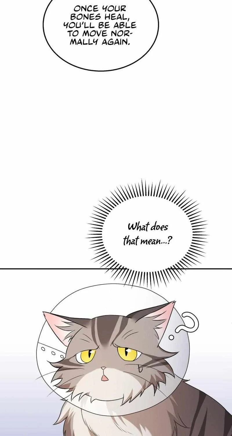 Read Hello! Veterinarian! chapter 14 image 79 on Lezhin