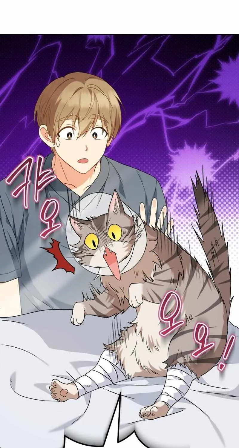 Read Hello! Veterinarian! chapter 14 image 81 on Lezhin