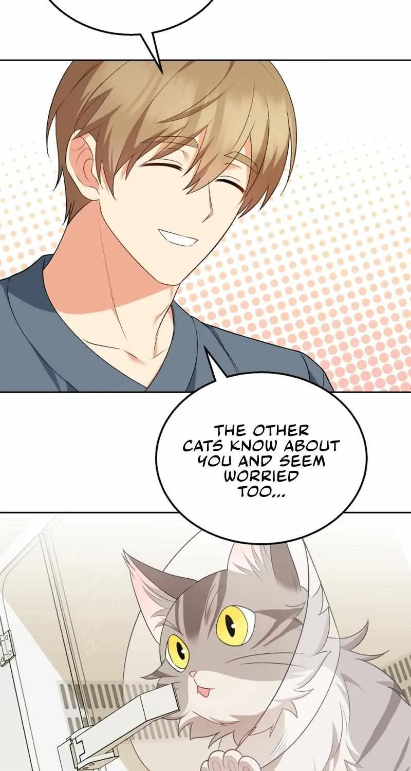 Read Hello! Veterinarian! chapter 15 image 13 on Lezhin