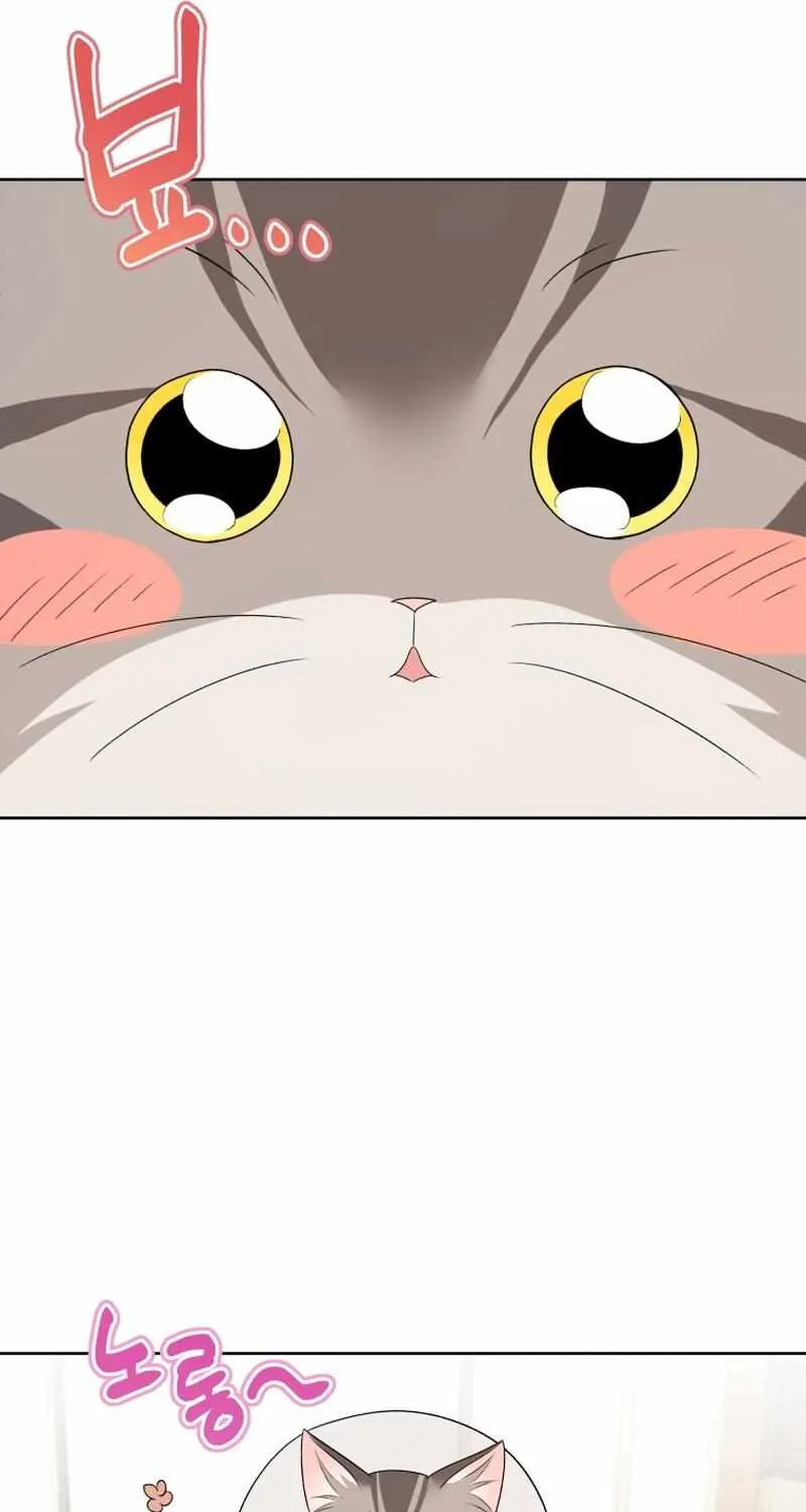 Read Hello! Veterinarian! chapter 15 image 44 on Lezhin
