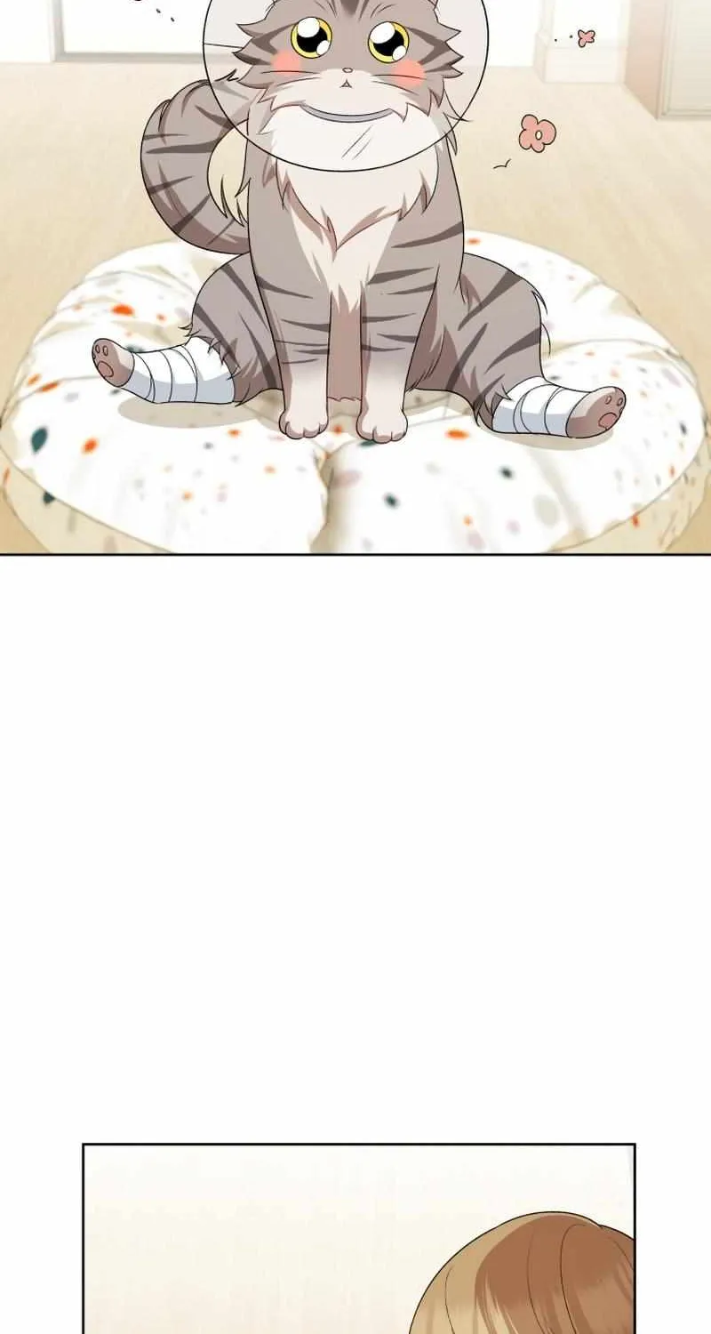 Read Hello! Veterinarian! chapter 15 image 45 on Lezhin