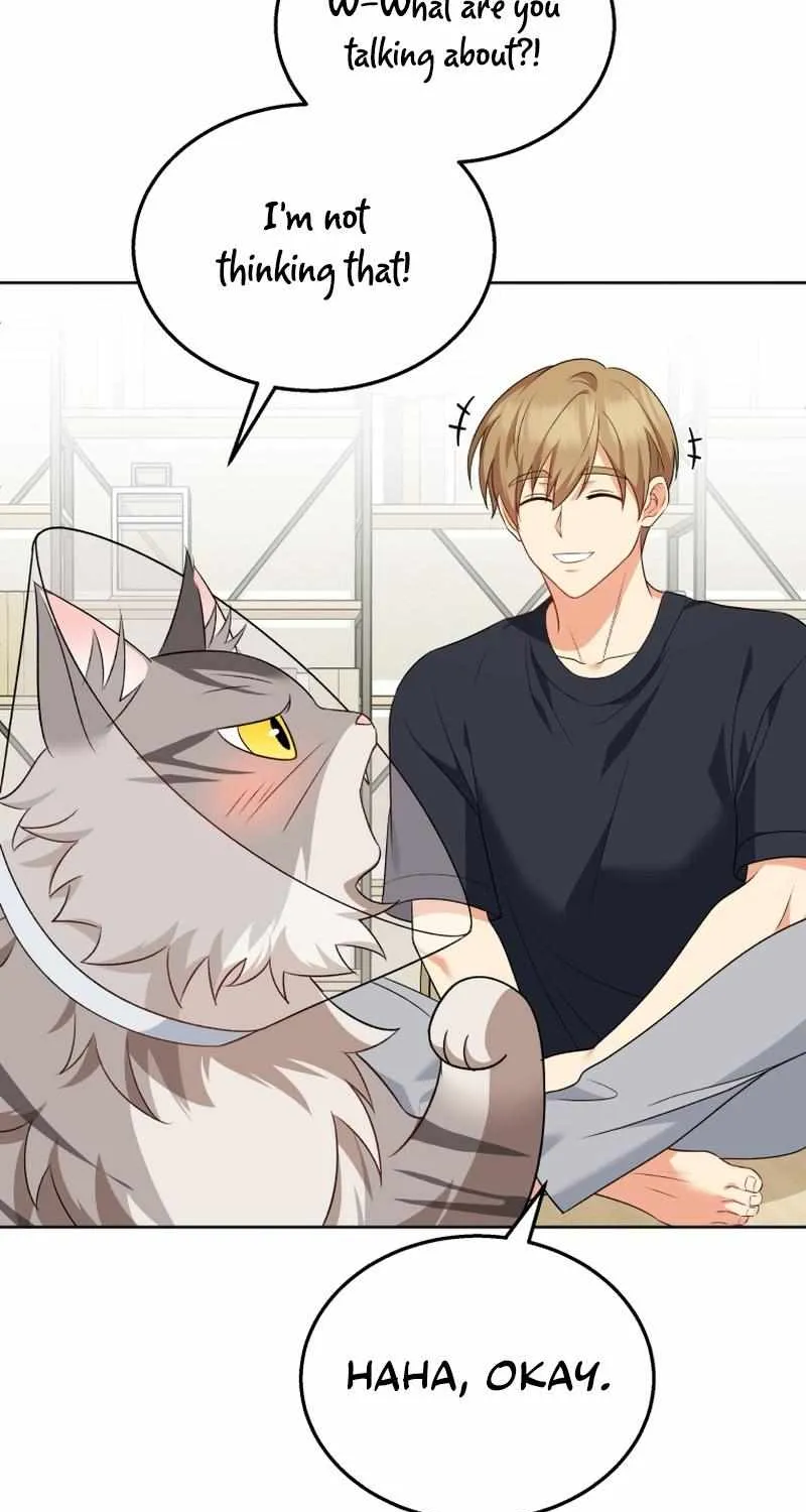 Read Hello! Veterinarian! chapter 15 image 48 on Lezhin