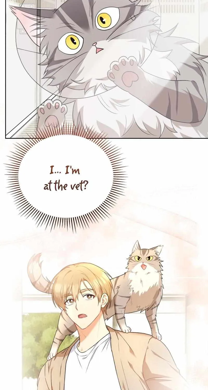 Read Hello! Veterinarian! chapter 15 image 5 on Lezhin