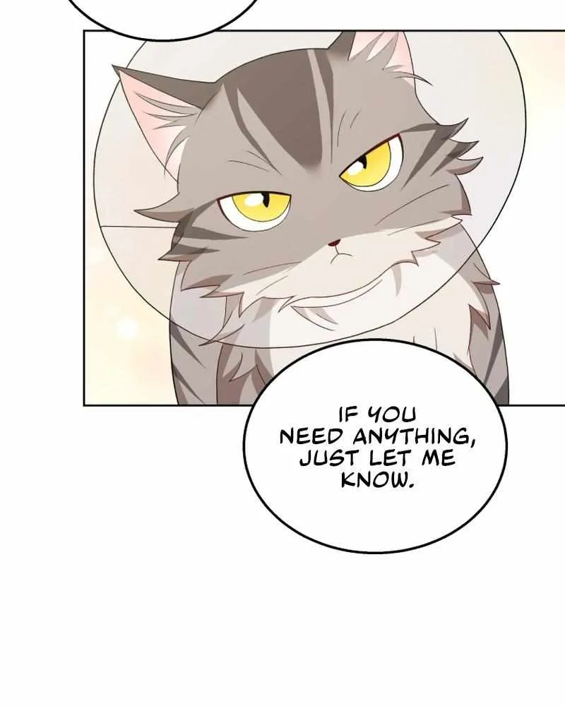 Read Hello! Veterinarian! chapter 15 image 50 on Lezhin