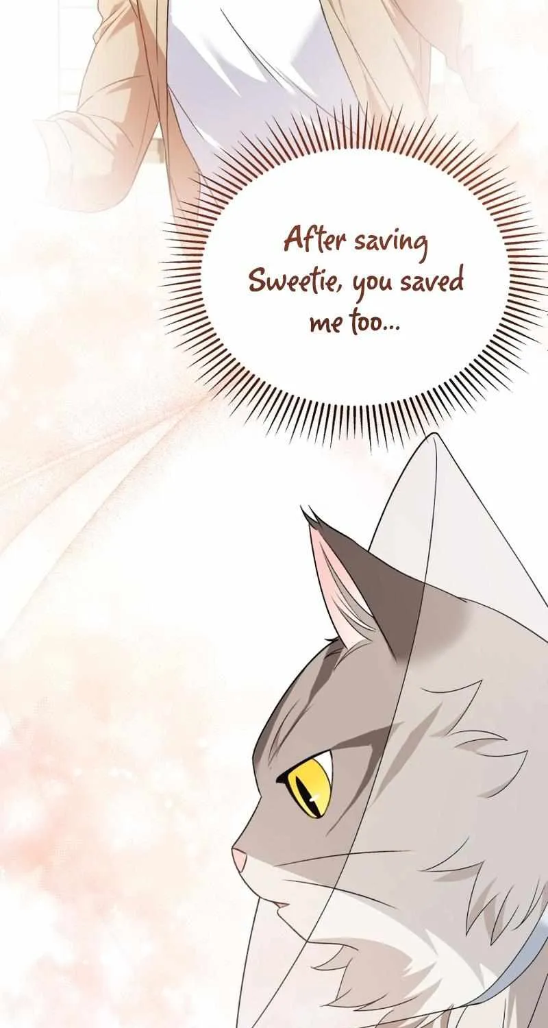 Read Hello! Veterinarian! chapter 15 image 6 on Lezhin