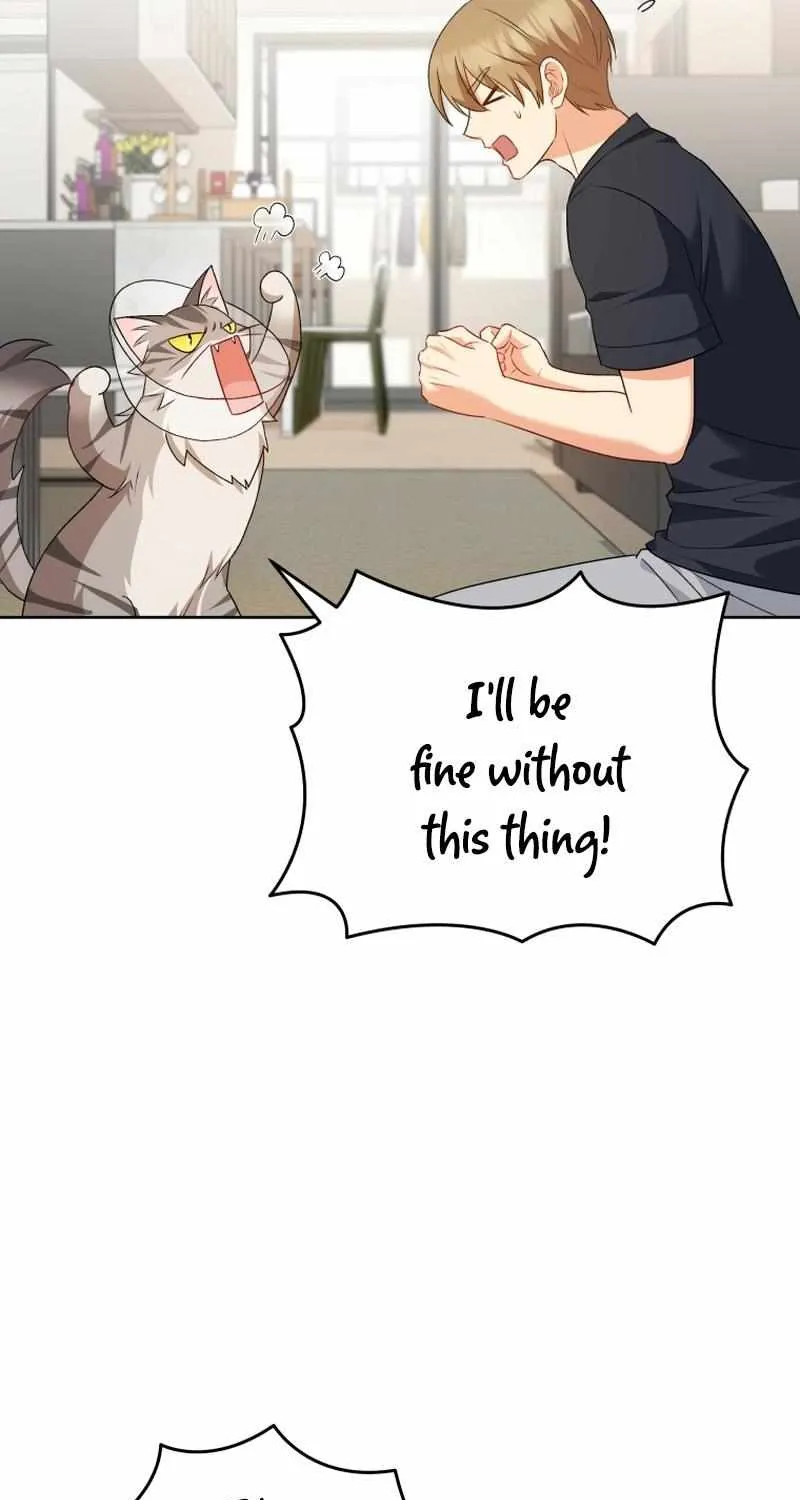Read Hello! Veterinarian! chapter 15 image 62 on Lezhin