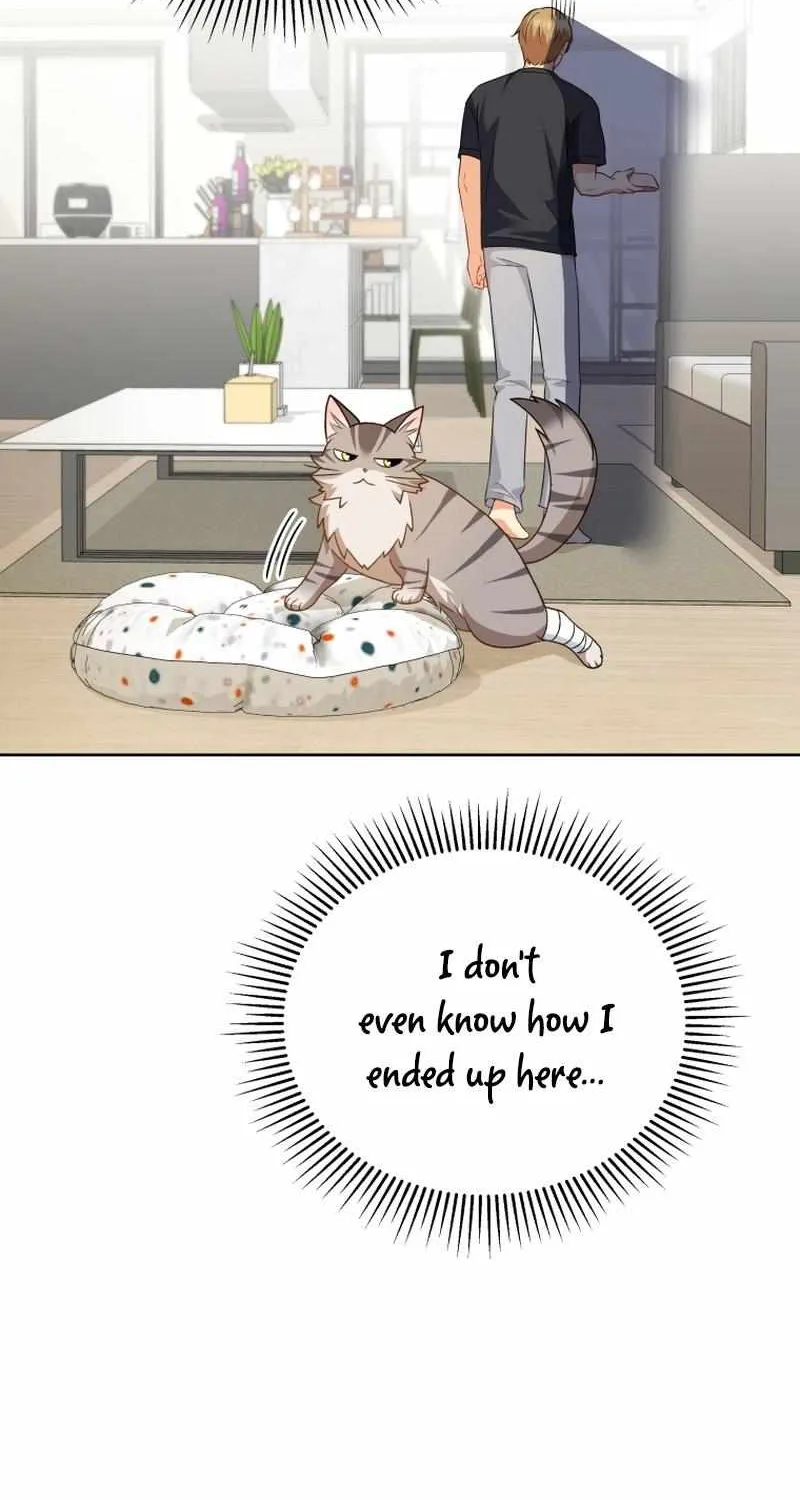 Read Hello! Veterinarian! chapter 15 image 70 on Lezhin