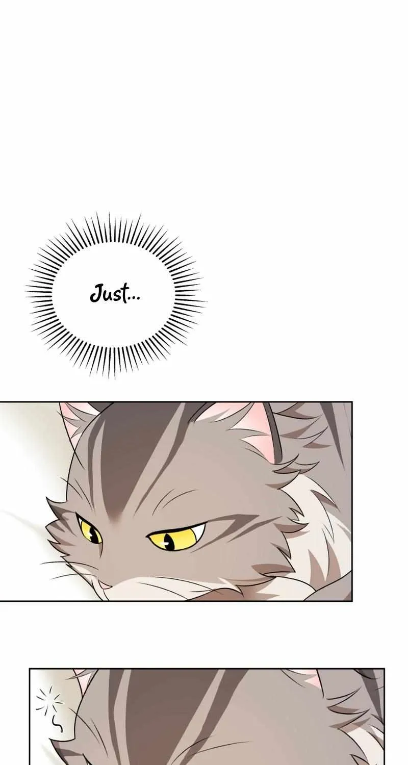 Read Hello! Veterinarian! chapter 15 image 73 on Lezhin