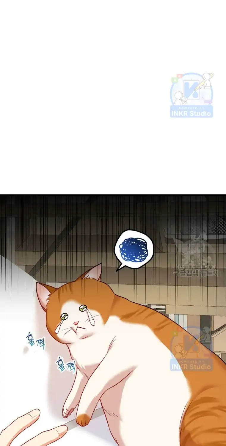 Read Hello! Veterinarian! chapter 2 image 20 on Lezhin
