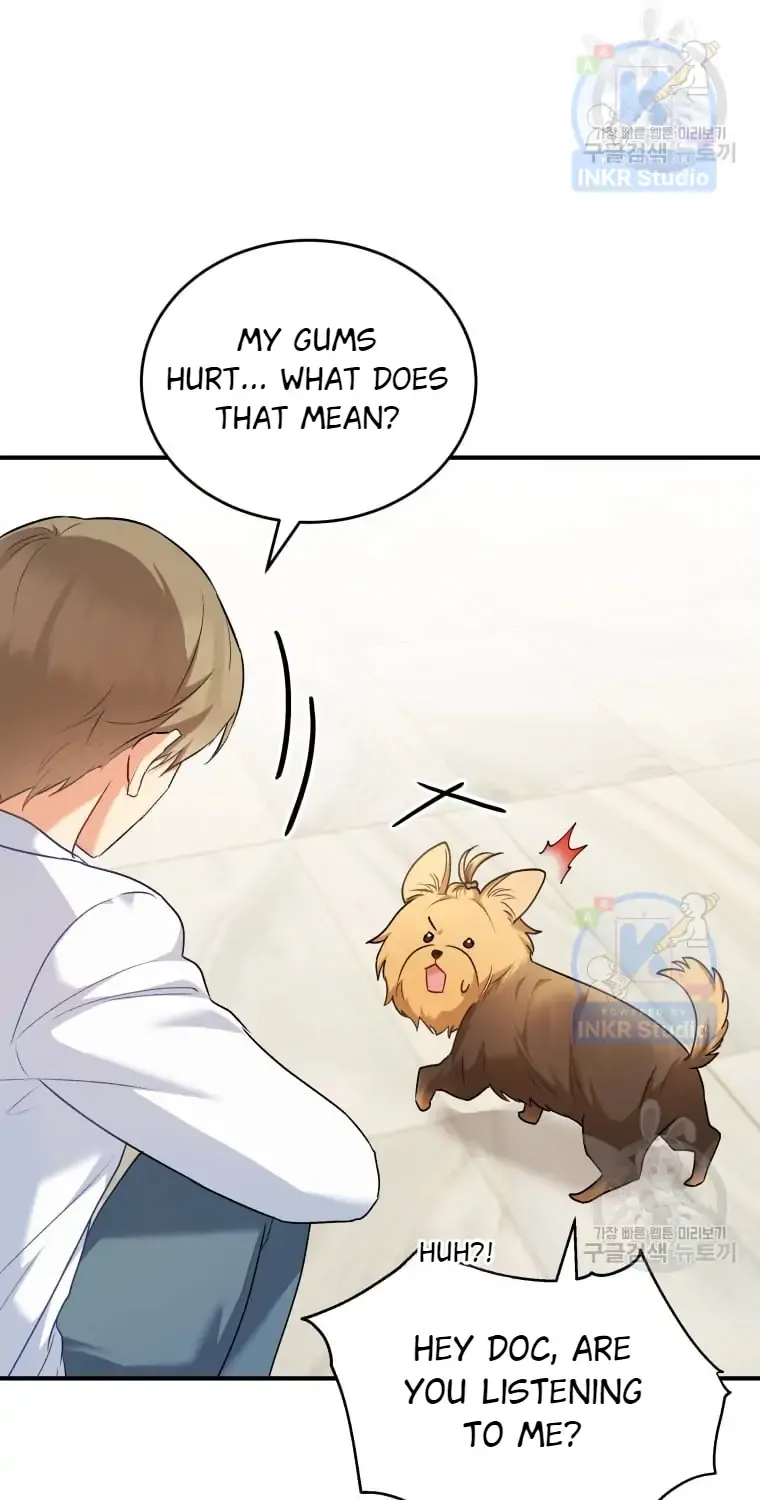 Read Hello! Veterinarian! chapter 2 image 47 on Lezhin