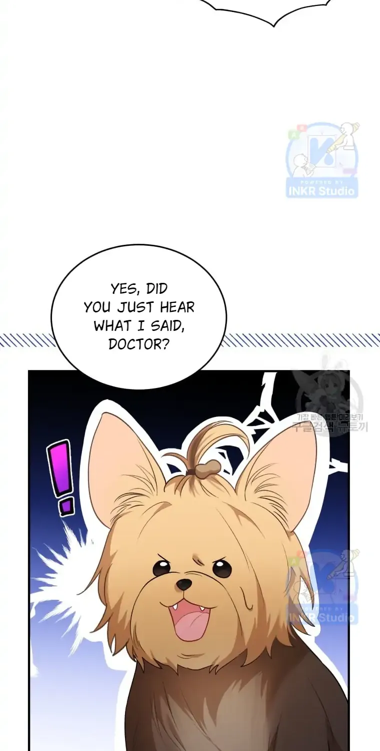 Read Hello! Veterinarian! chapter 2 image 48 on Lezhin