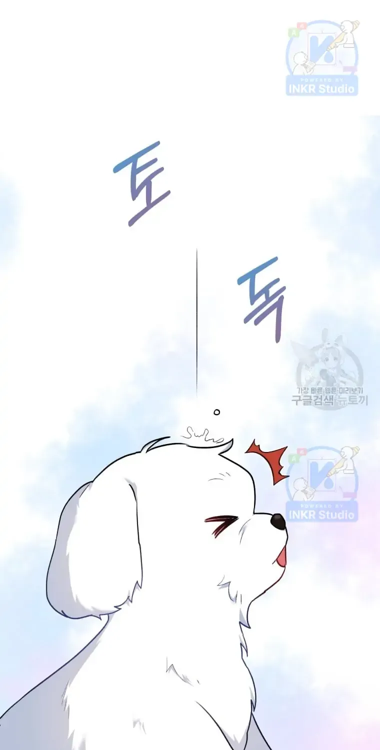 Read Hello! Veterinarian! chapter 2 image 5 on Lezhin