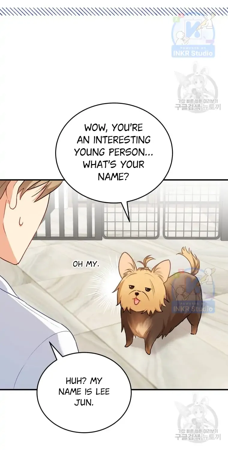 Read Hello! Veterinarian! chapter 2 image 50 on Lezhin