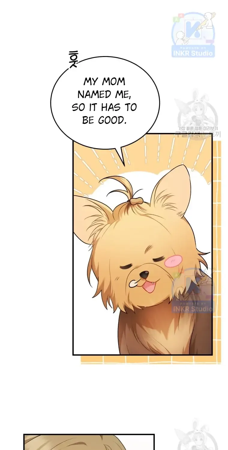 Read Hello! Veterinarian! chapter 2 image 53 on Lezhin