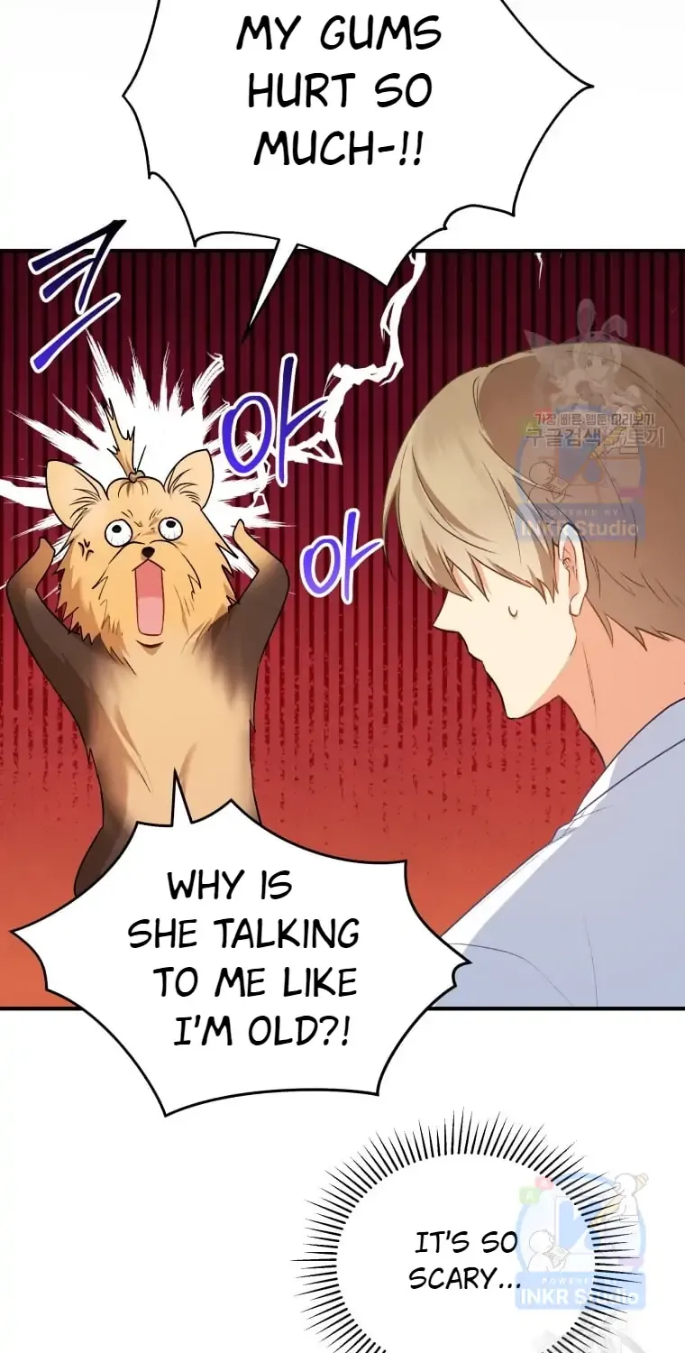 Read Hello! Veterinarian! chapter 2 image 62 on Lezhin