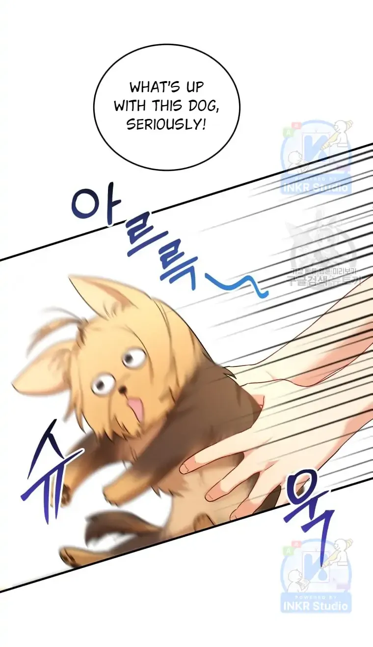 Read Hello! Veterinarian! chapter 2 image 65 on Lezhin