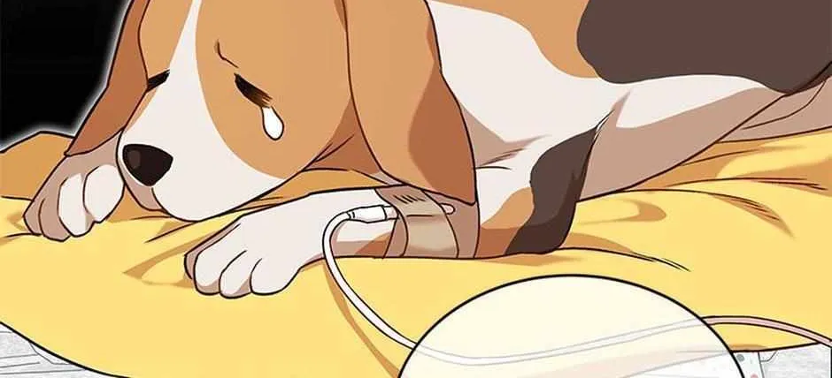 Read Hello! Veterinarian! chapter 20 image 24 on Lezhin