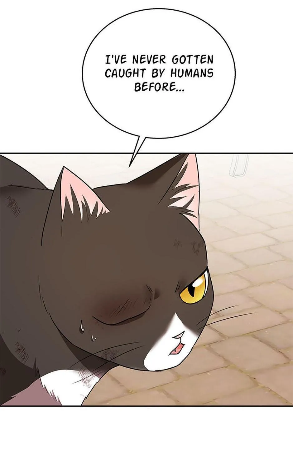 Read Hello! Veterinarian! chapter 27 image 17 on Lezhin