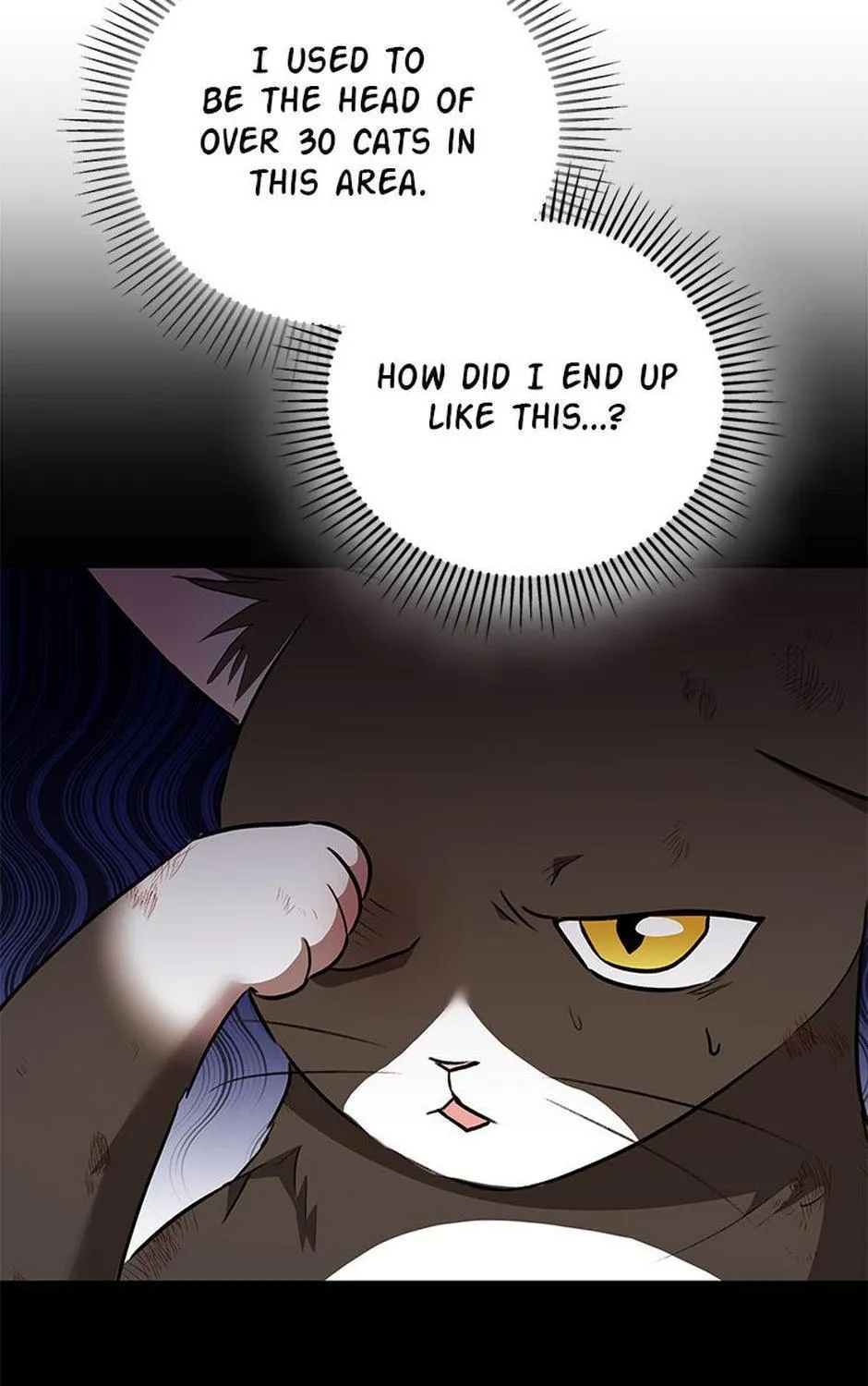 Read Hello! Veterinarian! chapter 27 image 91 on Lezhin