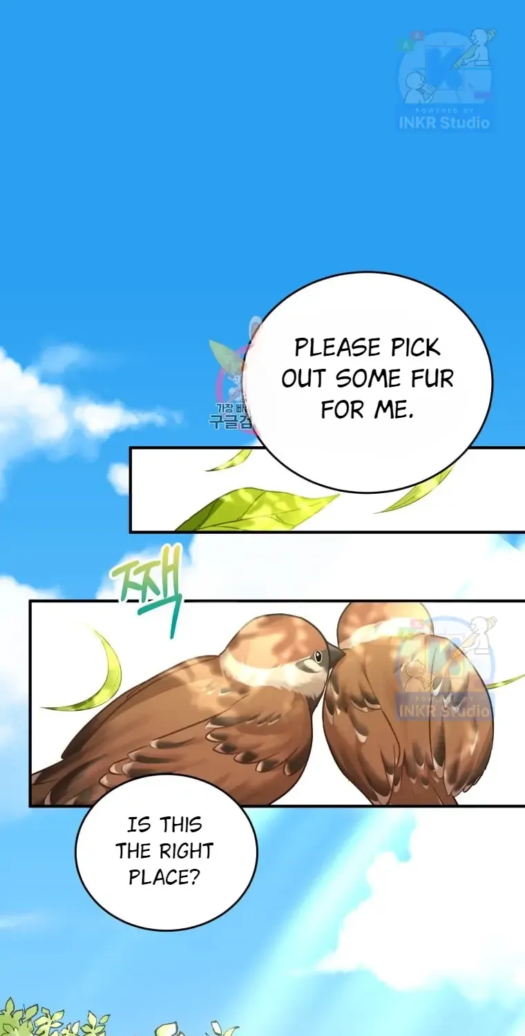 Read Hello! Veterinarian! chapter 3 image 1 on Lezhin