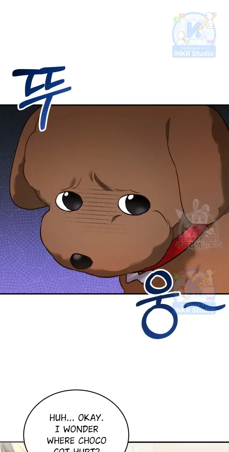 Read Hello! Veterinarian! chapter 3 image 12 on Lezhin